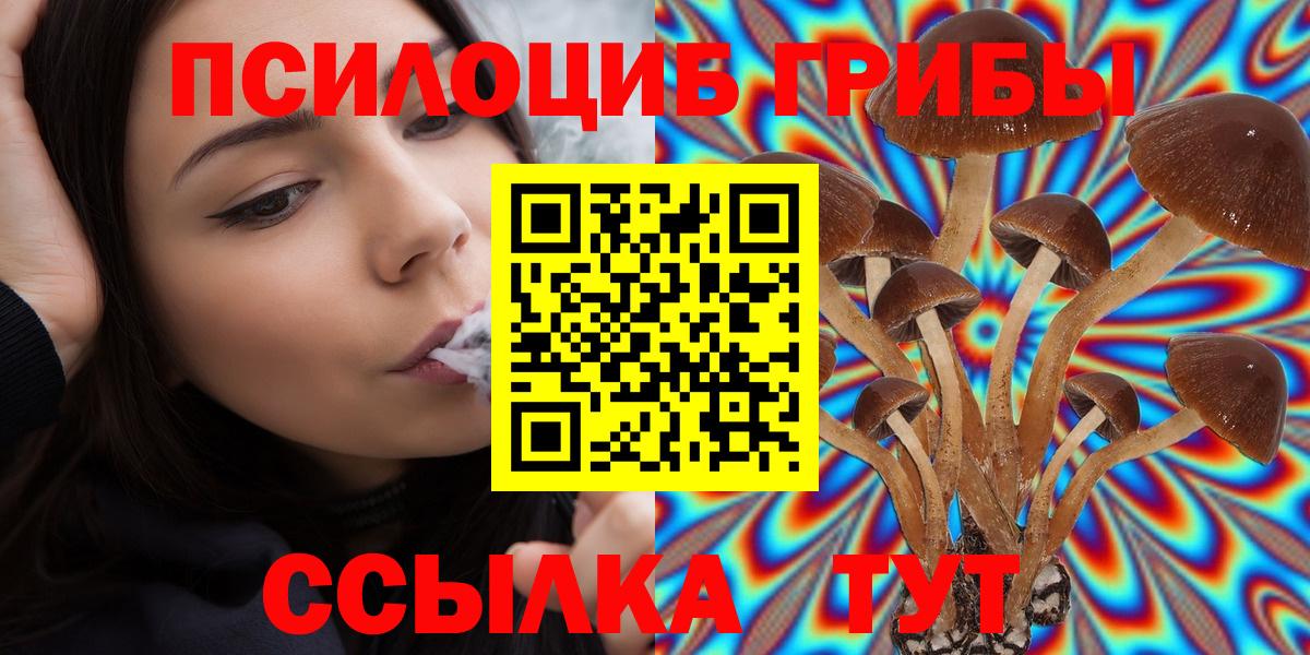 Псилоцибиновые грибы мицелий Петрозаводск