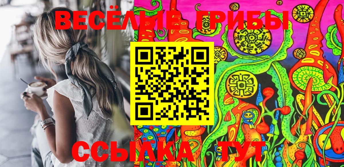 Петрозаводск  Галлюциногенные грибы Psilocybe  Вход с VPN 